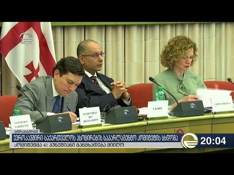 ევროკავშირი-საქართველოს ასოცირების საპარლამენტო კომიტეტის სხდომა